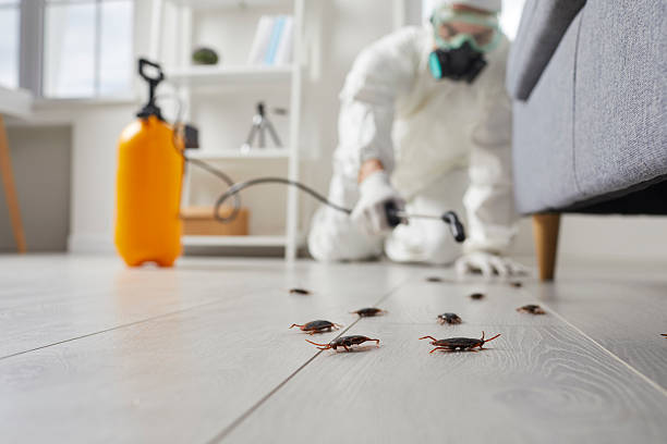 Commercial Kitchen Cockroach Control in Newark
